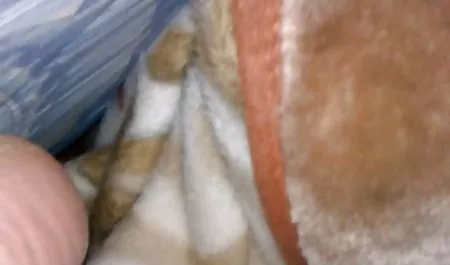 Seksi ini sedikit tertinggi lutut terlalu lucu Joi vidio bokip