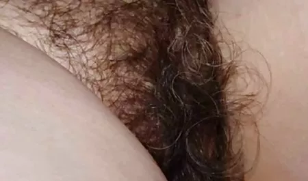 - Michelle vidio bokep cewe montok Taylor Fucks lemak ayam