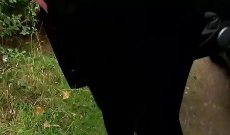 Amatir Toket kencang vidio bokep ganas Candace sepong kulit putih kemaluan